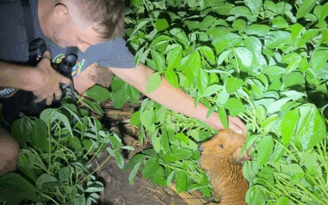 Tyler Erb Finds His Lost Dog Russer After He Was Missing For Over A Week